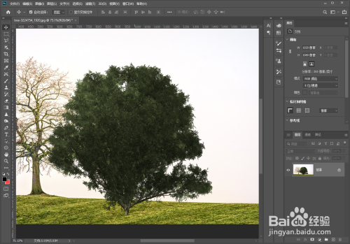 ps怎么制作树木