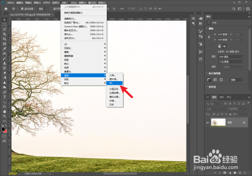 ps怎么制作树木