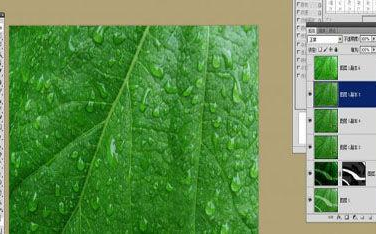 ps如何把水印去掉