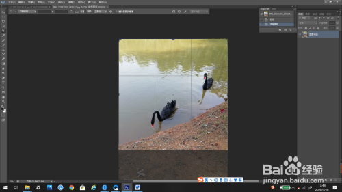 PS怎么裁剪图片