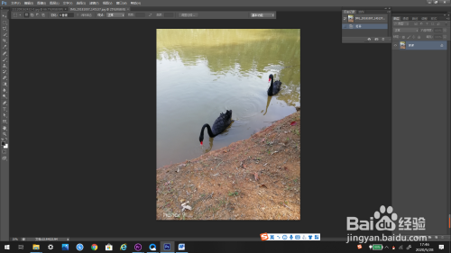 PS怎么裁剪图片