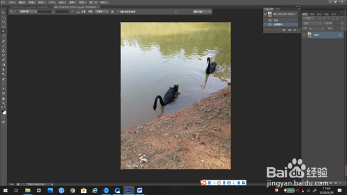 PS怎么裁剪图片