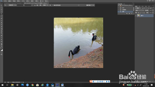 PS怎么裁剪图片