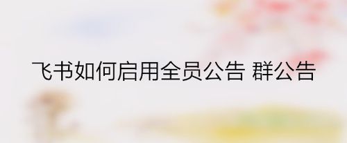 飞书怎么启用全员公告