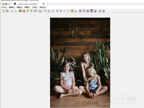怎么打开xnview的图像过滤器
