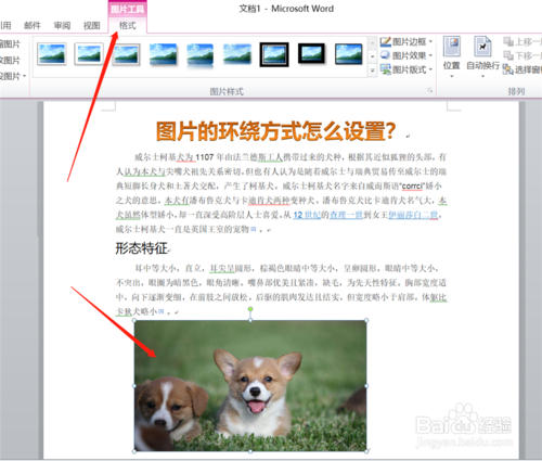 图片的环绕方式如何设置