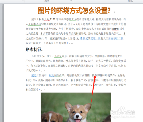 图片的环绕方式如何设置