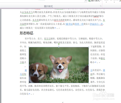 图片的环绕方式如何设置