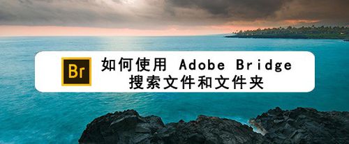 怎么使用Adobe Bridge搜索文件和文件夹