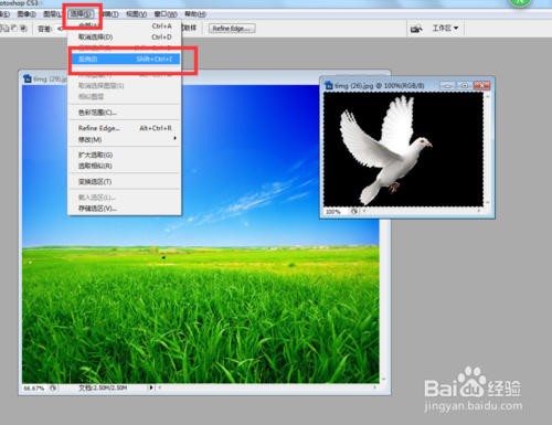 PS怎么放大或缩小抠取的物体或图片