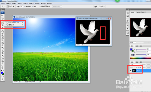 PS怎么放大或缩小抠取的物体或图片