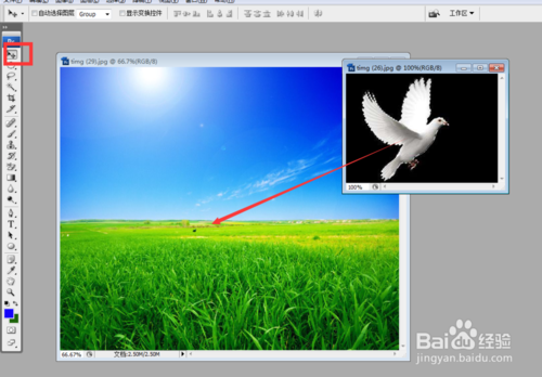 PS怎么放大或缩小抠取的物体或图片