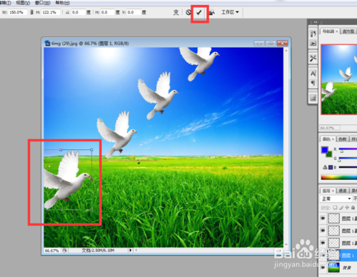PS怎么放大或缩小抠取的物体或图片