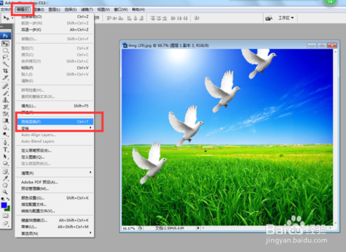 PS怎么放大或缩小抠取的物体或图片