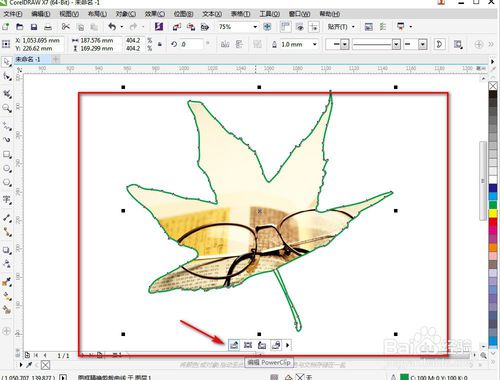 CorelDRAW如何把图片外轮廓制作成叶子形状？