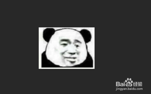 图片底色怎么用ps变透明