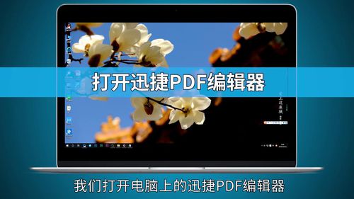 PDF去水印步骤分享