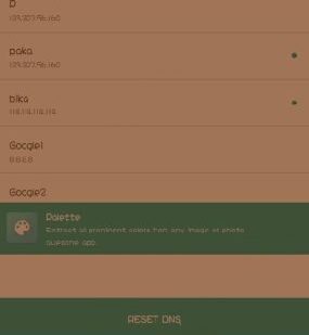 哔咔漫画怎么修改dns?修改dns的方法说明