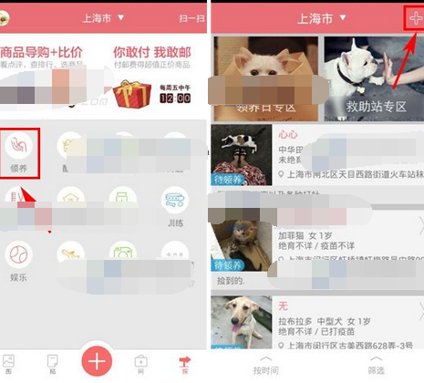 在闻闻窝APP里怎么发领养信息?发领养信息的方法说明