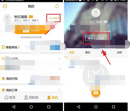 蚂蜂窝自由行APP如何设置背景?蚂蜂窝自由行设置背景的方法分享