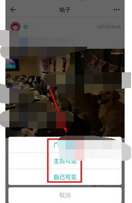 Soul怎么设置权限?设置权限的方法介绍