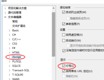 Visual Studio 2010怎么调出文档行号？文档行号调出方法一览
