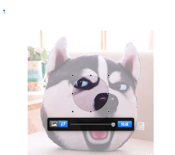 pages遮盖图片怎么实现裁剪效果 遮盖图片实现裁剪效果方式一览