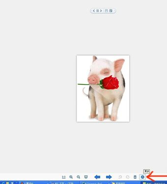 2345看图王如何修改图片大小格式？修改图片大小格式操作步骤详解