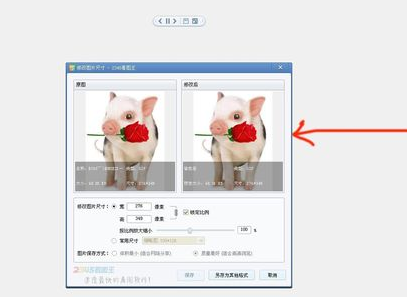 2345看图王如何修改图片大小格式？修改图片大小格式操作步骤详解