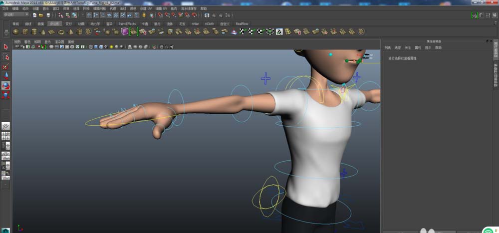 maya如何建模布线人体体块？建模布线人体体块操作流程一览