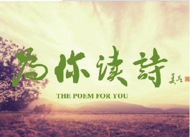 为你读诗APP怎么使用邮箱？为你读诗使用邮箱方法讲解