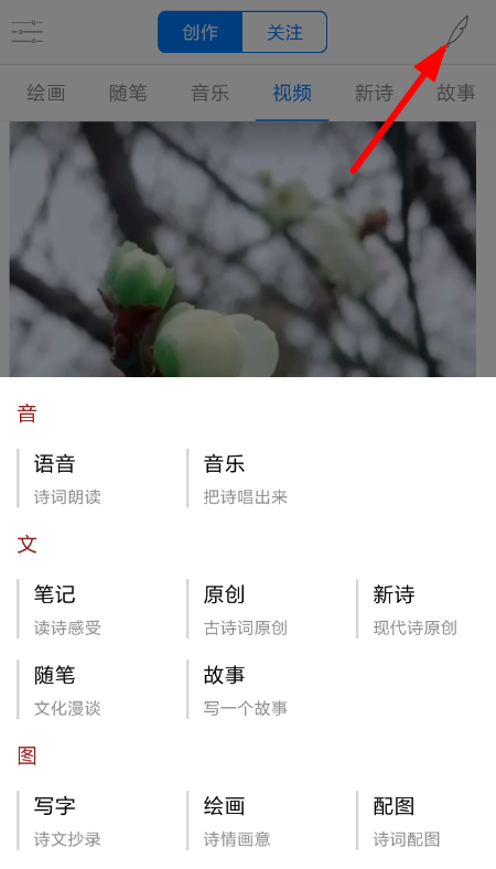 西窗烛怎么发布原创作品？发布原创作品的流程分享