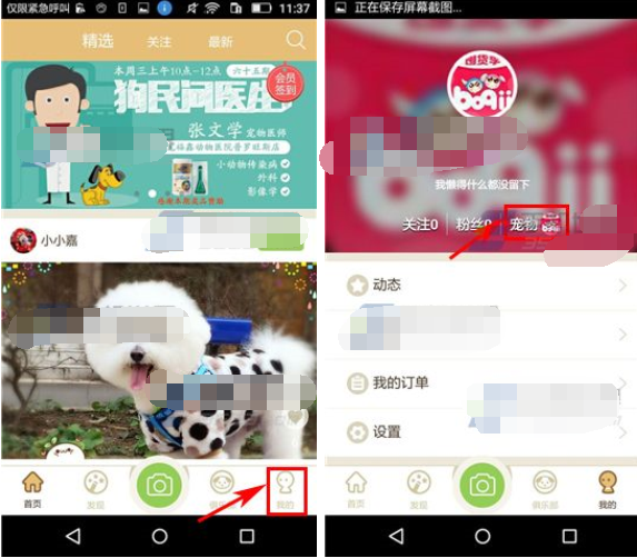 铃铛宠物APP怎么添加宠物？添加宠物的流程讲解