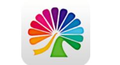 大麦APP怎么设置免密支付?设置免密支付流程分享