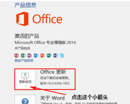 Microsoft office 2016如何禁用更新？Microsoft office 2016禁用更新方法详解