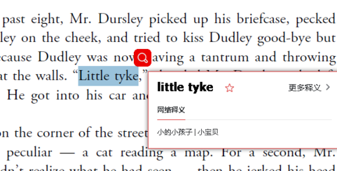 有道词典怎么进行划词翻译?有道词典进行划词翻译操作技巧分享