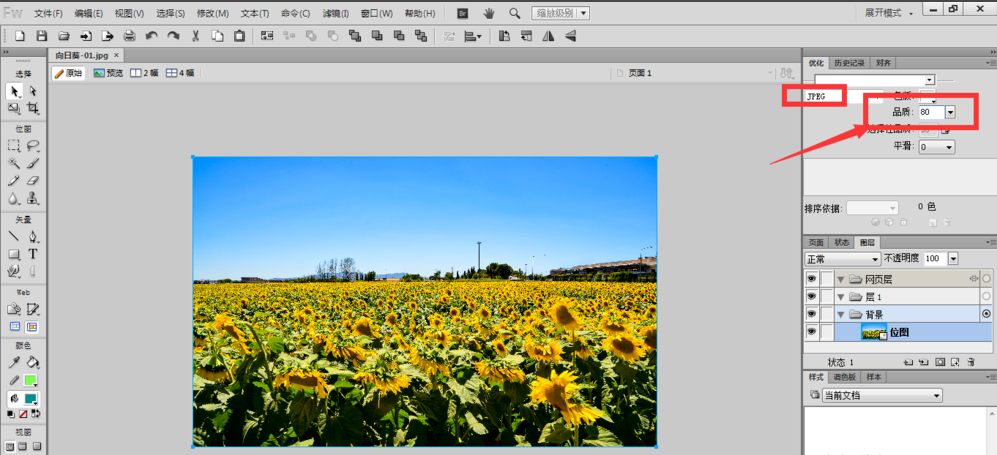 fireworks如何快速调整图片大小_快速调整图片大小方法介绍
