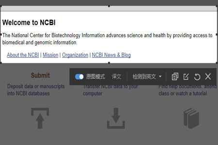 有道词典怎么截图翻译？有道词典截图翻译的图文步骤分享