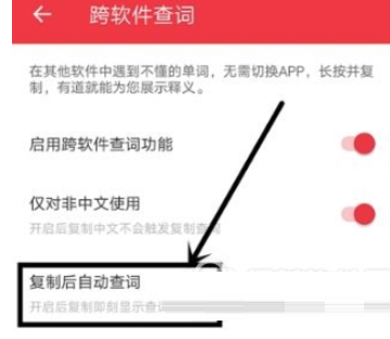 有道词典怎么设置复制后自动查词？设置自动查词的方法说明