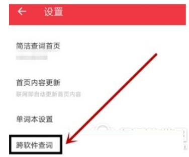 有道词典怎么设置复制后自动查词？设置自动查词的方法说明