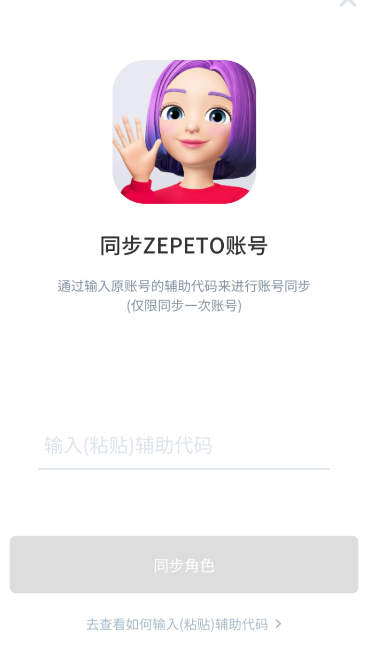 崽崽辅助代码怎么使用?辅助代码使用方法讲解