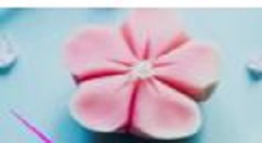 在腾讯翻译君中如何切换到日语？切换到日语的方法说明