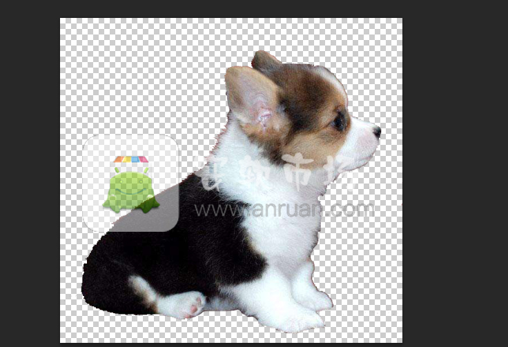 ps如何抠图然后再拼接_ps抠图然后再拼接方法教程