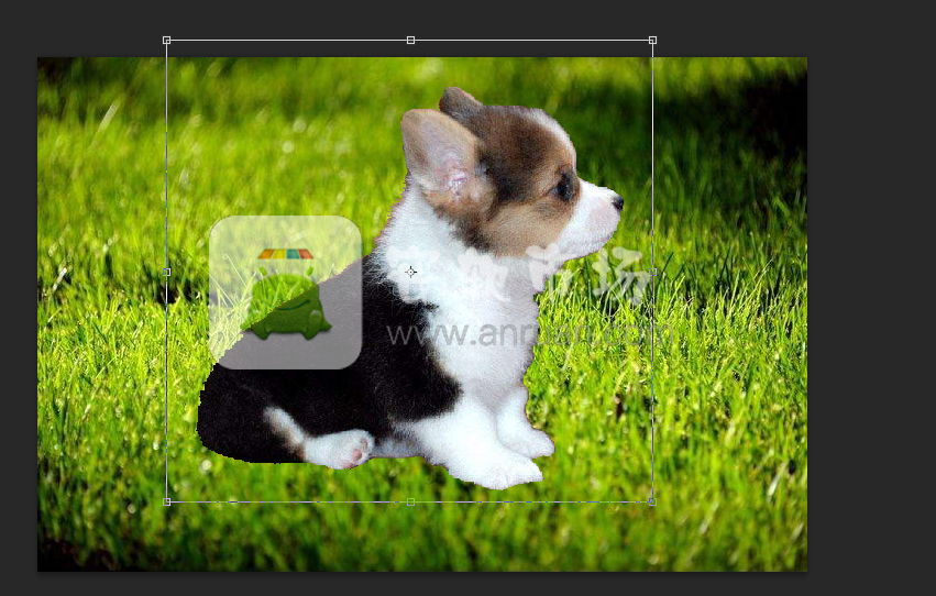 ps如何抠图然后再拼接_ps抠图然后再拼接方法教程