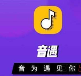 音遇app怎么设置动态头像？设置动态头像的步骤说明