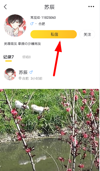 耳觅APP中如何删除聊天记录？删除聊天记录的步骤分享