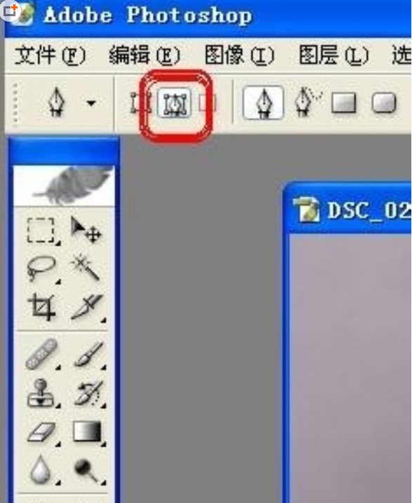 ps可以抠图换成白底图吗_ps抠图换成白底教程步骤分享