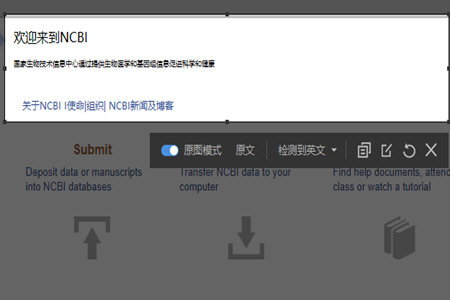 有道词典如何截图翻译 截图翻译方法分享