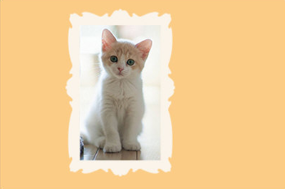 PS如何给图片加边框？PS给图片加边框操作步骤一览