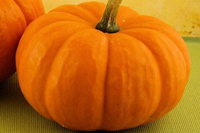 PS如何用钢笔抠图？PS钢笔抠图方法介绍